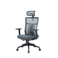 Крісло офісне OfficePro Balance OC550-B-DG-DG