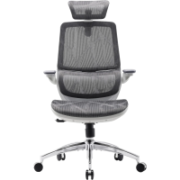 Крісло офісне Sihoo M59AS Mesh Gray