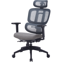 Крісло офісне OfficePro Skyline OC580-B-DG-DG