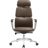 Крісло офісне OfficePro Delicate OC690BR Brown PVC