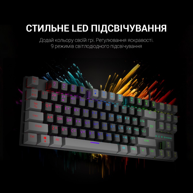 Клавіатура механічна GamePro MK100R