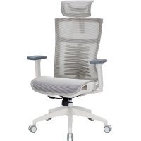Крісло офісне OfficePro Balance OC620-W-LG-LG