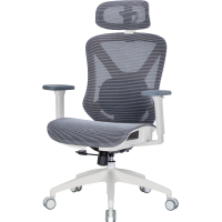 Крісло офісне Officepro Atlas OC630-W-DG-DG