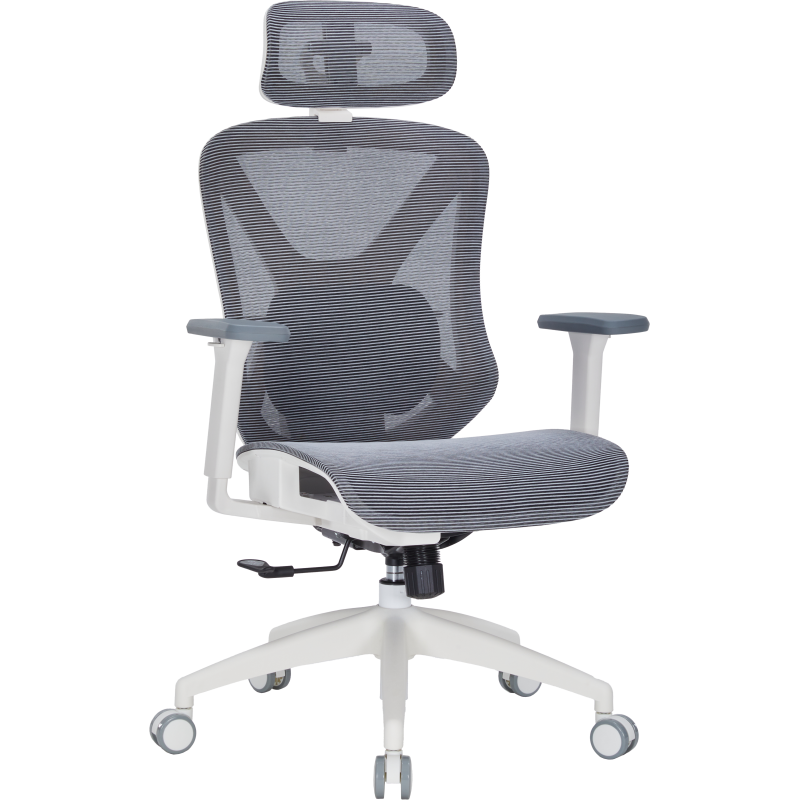 Крісло офісне Officepro Atlas OC630-W-DG-DG