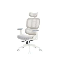 Крісло офісне OfficePro Skyline OC680-W-LG-LG